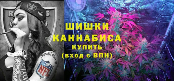 гашик Бородино
