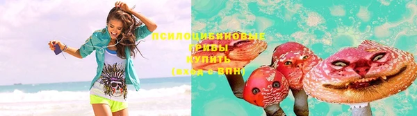 гашик Бородино