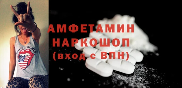 гашик Бородино