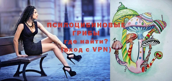 apvp Медногорск