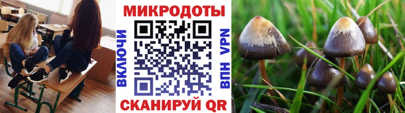 Галлюциногенные грибы ЛСД  blacksprut tor  Дмитриев 