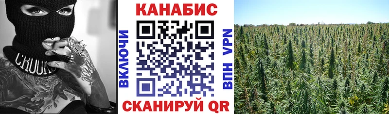 MEGA ссылки  Дмитриев  Шишки марихуана марихуана 
